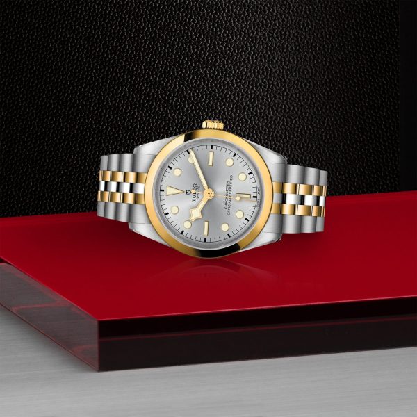 TUDOR Black Bay S&G. 36 mm - Image 3