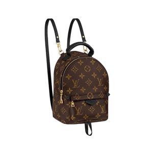 LV Old Flower Mini Multi functional Backpack Small Book