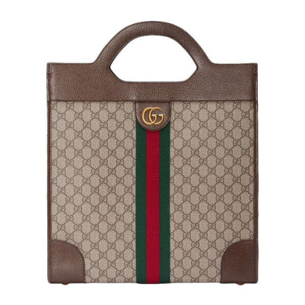 Gucci Double G Printed Metal Accessories Canvas Handbag
