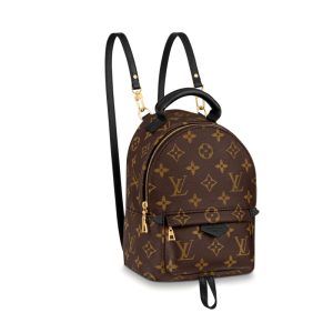 LV Brown Presbyopia Canvas/Leather Backpack