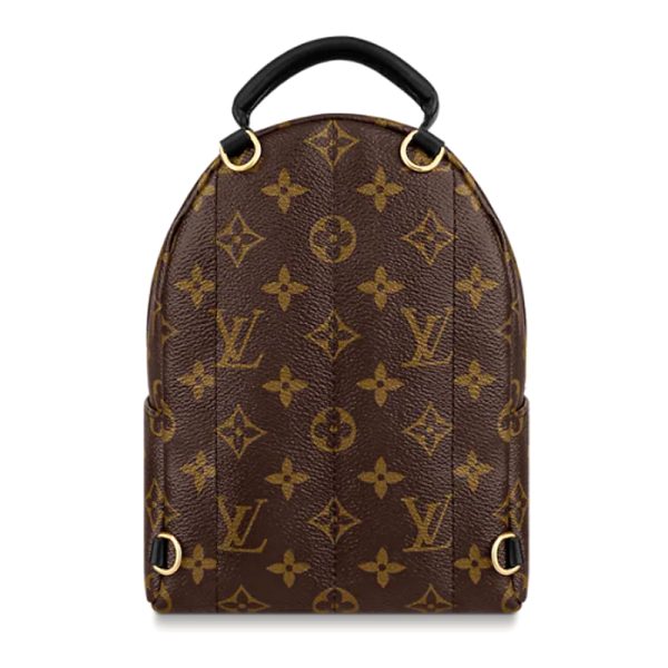 LV Brown Presbyopia Canvas/Leather Backpack - Image 2