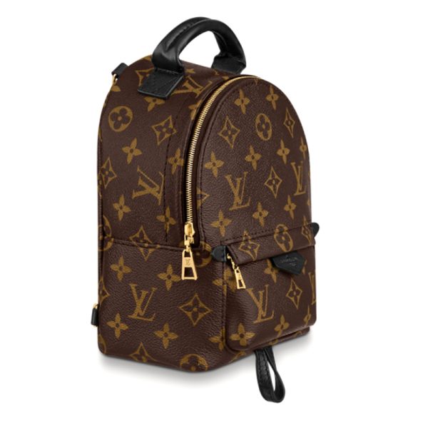 LV Brown Presbyopia Canvas/Leather Backpack - Image 3