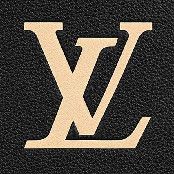 LV black/beige dual tone embossed grain shoulder bag - Image 5