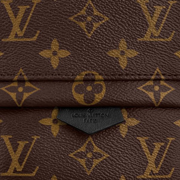 LV Brown Presbyopia Canvas/Leather Backpack - Image 6